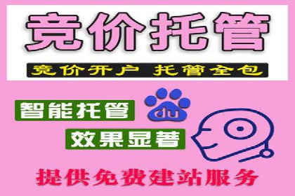 百度竞价托管公司案例分析：如何实现精准投放